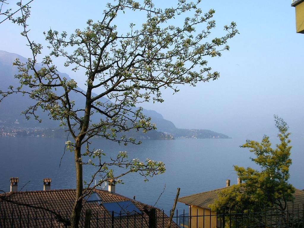 B&B Sosta Sul Lago Lezzeno Eksteriør billede