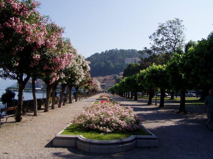 B&B Sosta Sul Lago Lezzeno Eksteriør billede